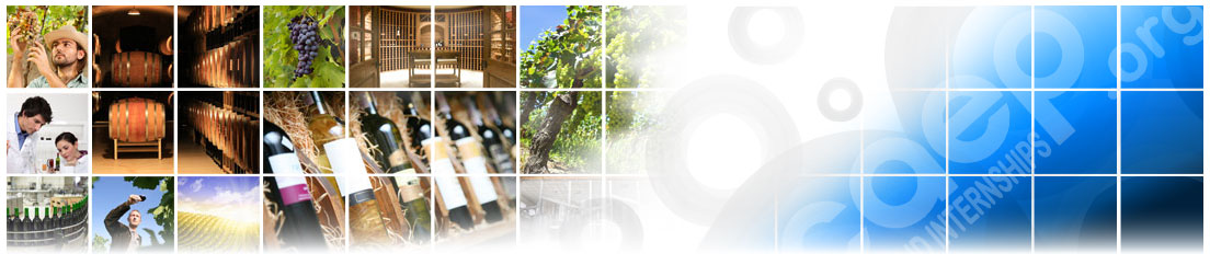 Enology Training Programs Enology Training Programs