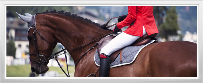 English Disciplines Training Program