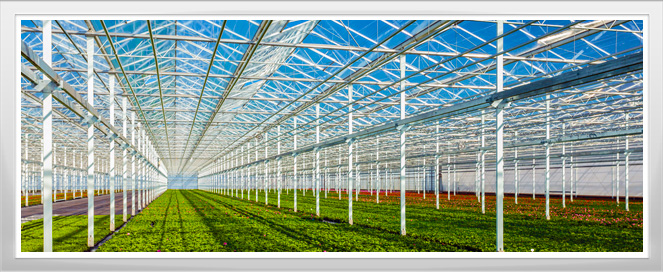 Greenhouse Training Program