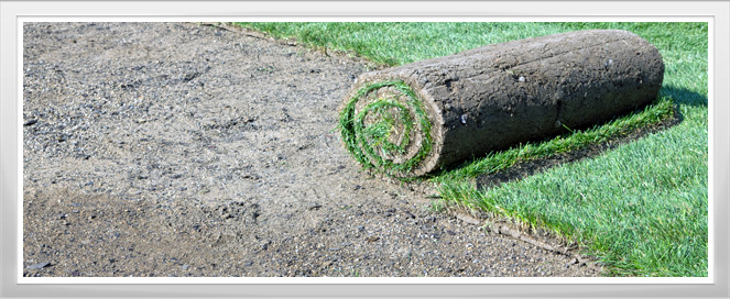 Landscaping Training Program