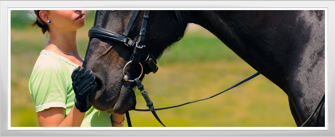 Veterinary Technician Training Program