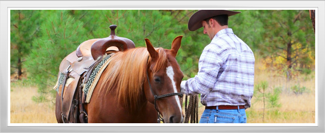 Western Pleasure Training Program